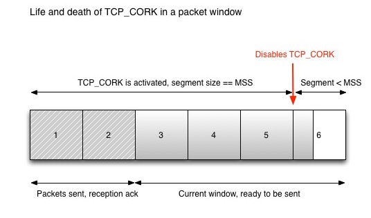 TCP_CORK